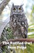 The Ruffled Owl - Bild 1