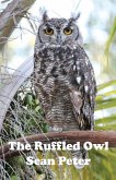 The Ruffled Owl