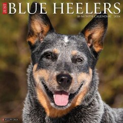 Just Blue Heelers 2024 12 X 12 Wall Calendar - Willow Creek Press