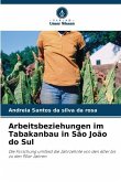 Arbeitsbeziehungen im Tabakanbau in São João do Sul