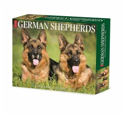 German Shepherds 2024 6.2 X 5.4 Box Calendar - Willow Creek Press