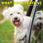 What Dogs Teach Us 2024 7 X 7 Mini Wall Calendar