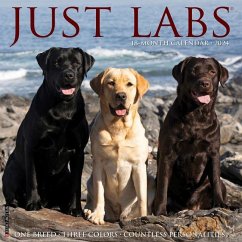 Just Labs 2024 12 X 12 Wall Calendar - Willow Creek Press