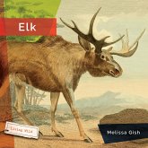 Elk