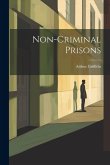 Non-Criminal Prisons