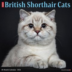 British Shorthair Cats 2024 12 X 12 Wall Calendar - Willow Creek Press
