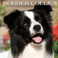 Just Border Collies 2024 12 X 12 Wall Calendar - Willow Creek Press