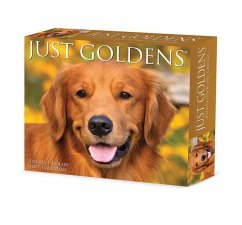 Goldens 2024 6.2 X 5.4 Box Calendar - Willow Creek Press