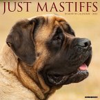 Just Mastiffs 2024 12 X 12 Wall Calendar