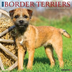 Just Border Terriers 2024 12 X 12 Wall Calendar - Willow Creek Press