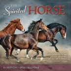 The Spirited Horse