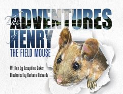The Adventures of Henry the Field Mouse - Coker, Josephine