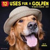 12 Uses for a Golden 2024 12 X 12 Wall Calendar