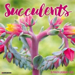 Succulents 2024 12 X 12 Wall Calendar - Willow Creek Press