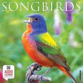 Songbirds 2024 12 X 12 Wall Calendar