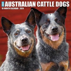 Just Australian Cattle Dogs 2024 12 X 12 Wall Calendar - Willow Creek Press