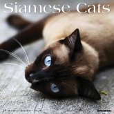 Siamese Cats 2024 12 X 12 Wall Calendar