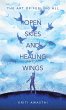 OPEN SKIES AND HEALING WINGS - Bild 1