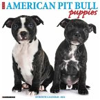 Just American Pit Bull Terrier Puppies 2024 12 X 12 Wall Calendar