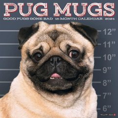 Pug Mugs 2024 12 X 12 Wall Calendar - Willow Creek Press