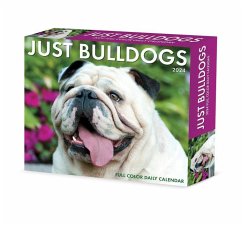 Bulldogs 2024 6.2 X 5.4 Box Calendar - Willow Creek Press