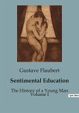 Sentimental Education