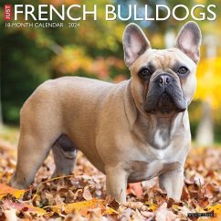 Just French Bulldogs 2024 12 X 12 Wall Calendar - Willow Creek Press