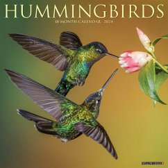 Hummingbirds 2024 12 X 12 Wall Calendar - Willow Creek Press