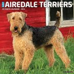 Just Airedale Terriers 2024 12 X 12 Wall Calendar