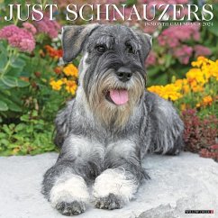 Just Schnauzers 2024 12 X 12 Wall Calendar - Willow Creek Press