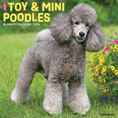 Just Toy & Miniature Poodles 2024 12 X 12 Wall Calendar - Willow Creek Press