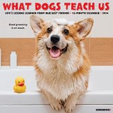 What Dogs Teach Us 2024 12 X 12 Wall Calendar