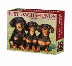 Dachshunds 2024 6.2 X 5.4 Box Calendar - Willow Creek Press