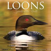 Loons 2024 12 X 12 Wall Calendar