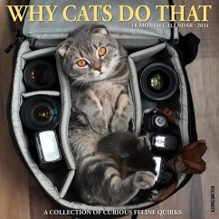 Why Cats Do That 2024 12 X 12 Wall Calendar - Willow Creek Press