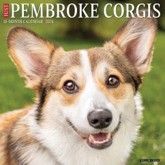 Just Pembroke Corgis 2024 12 X 12 Wall Calendar - Willow Creek Press