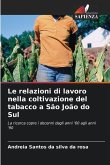 Le relazioni di lavoro nella coltivazione del tabacco a São João do Sul