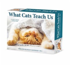 What Cats Teach Us 2024 6.2 X 5.4 Box Calendar - Willow Creek Press