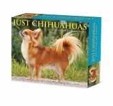 Chihuahuas 2024 6.2 X 5.4 Box Calendar