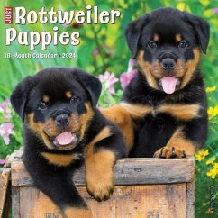 Just Rottweiler Puppies 2024 12 X 12 Wall Calendar - Willow Creek Press