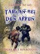 Tarzan bei den Affen (eBook, ePUB) - Bild 1