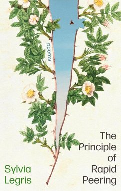 The Principle of Rapid Peering (eBook, ePUB) - Legris, Sylvia