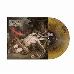 Insomnia (Gold Smoke) Cover Insomnia (Gold Smoke)