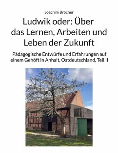 Ludwik oder: Über das Lernen, Arbeiten und Leben der Zukunft (eBook, ePUB) Ludwik oder: Über das Lernen, Arbeiten und Leben der Zukunft (eBook, ePUB)