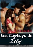Les Cowboys de Lily (eBook, ePUB)