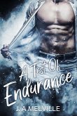 A Test of Endurance (eBook, ePUB)