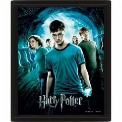 Harry Potter (Order Of The Phoenix) 3D Bilderrahmen 30 x 40 cm