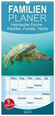 Familienplaner 2024 - Heimische Fische: Karpfen, Forelle, Hecht mit 5 Spalten (Wandkalender, 21 x 45 cm) CALVENDO