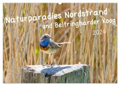 Naturparadies Nordstrand und Beltringharder Koog (Wandkalender 2024 DIN A2 quer), CALVENDO Monatskalender