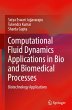 Computational Fluid Dynamics... - Bild 1